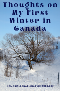 Thoughts on My First Winter in Canada Living in Ontario